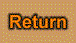 Return Button.gif (1836 bytes)